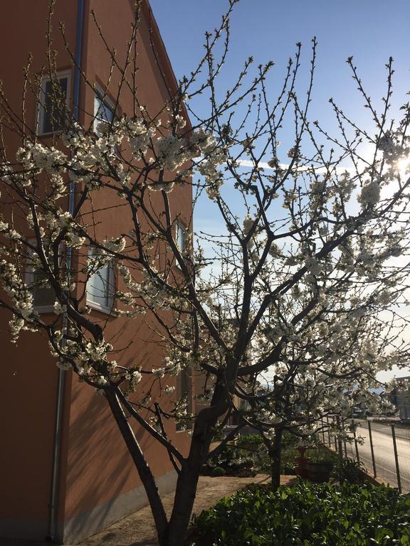 Nina Lägenhet Zadar